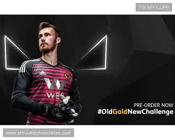 w88体育官网全面升级优化用户界面提升平台安全保障措施