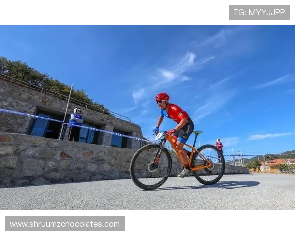 凤凰体育为体育爱好者提供丰富的赛事数据统计与分析工具