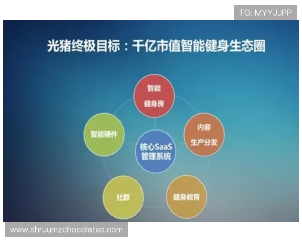 全面解析v体育官方网站的功能特色与用户体验提升策略推荐